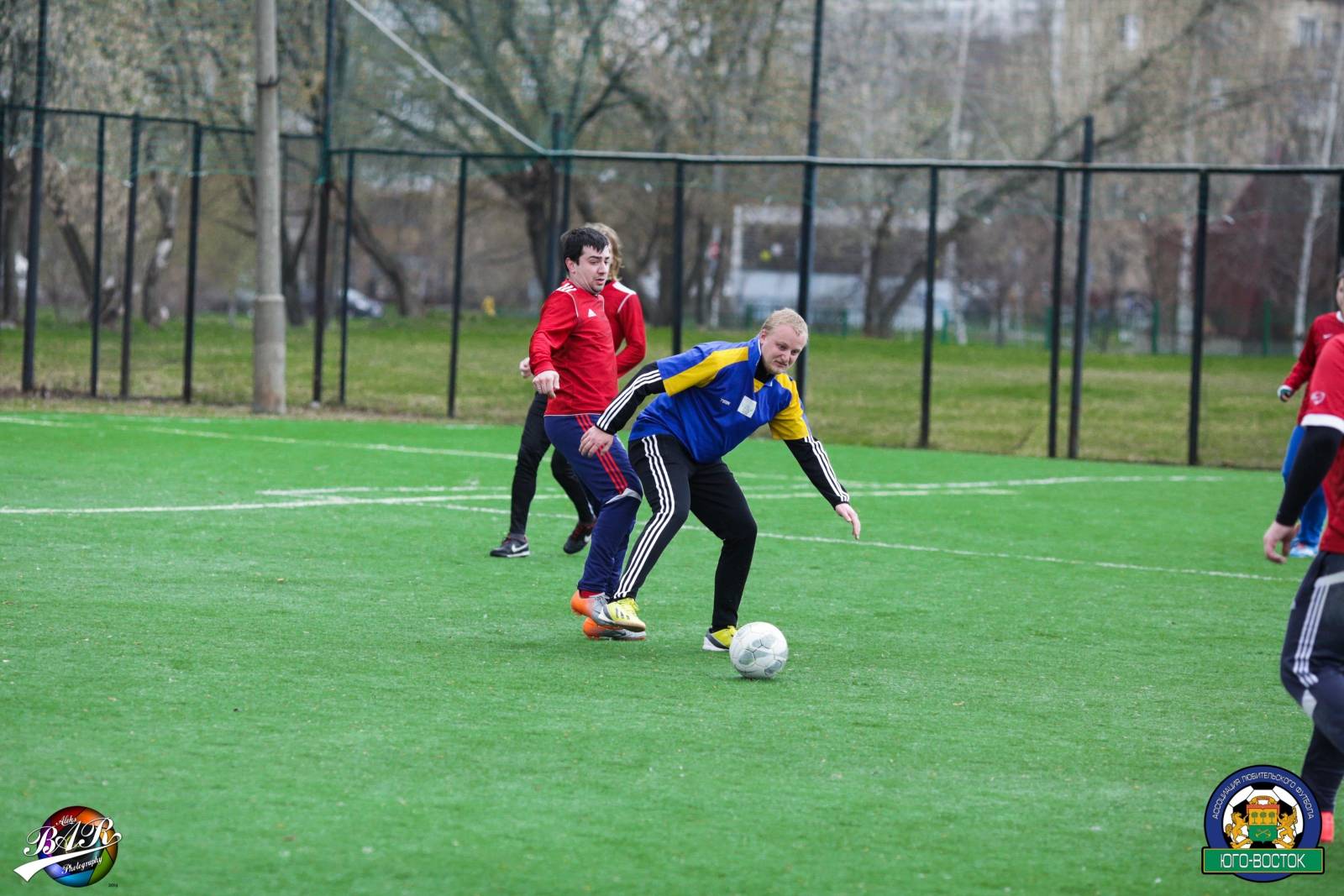 ALBA9974.jpg ALBA9974.jpg