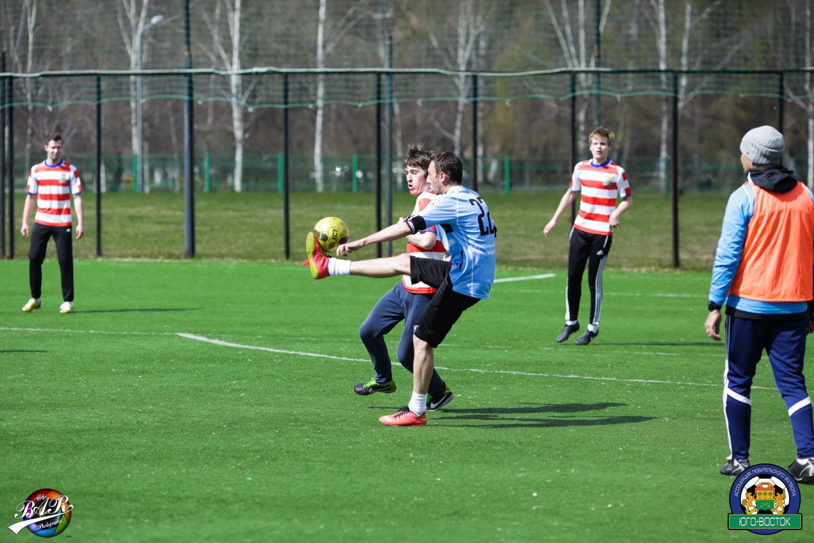 ALBA0236.jpg ALBA0236.jpg