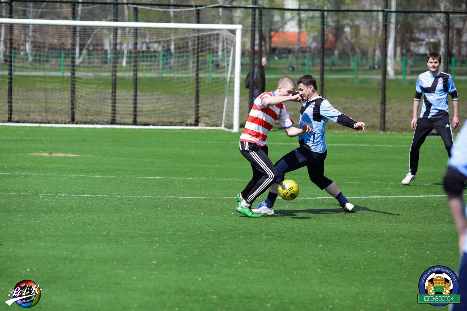 ALBA0234.jpg ALBA0234.jpg