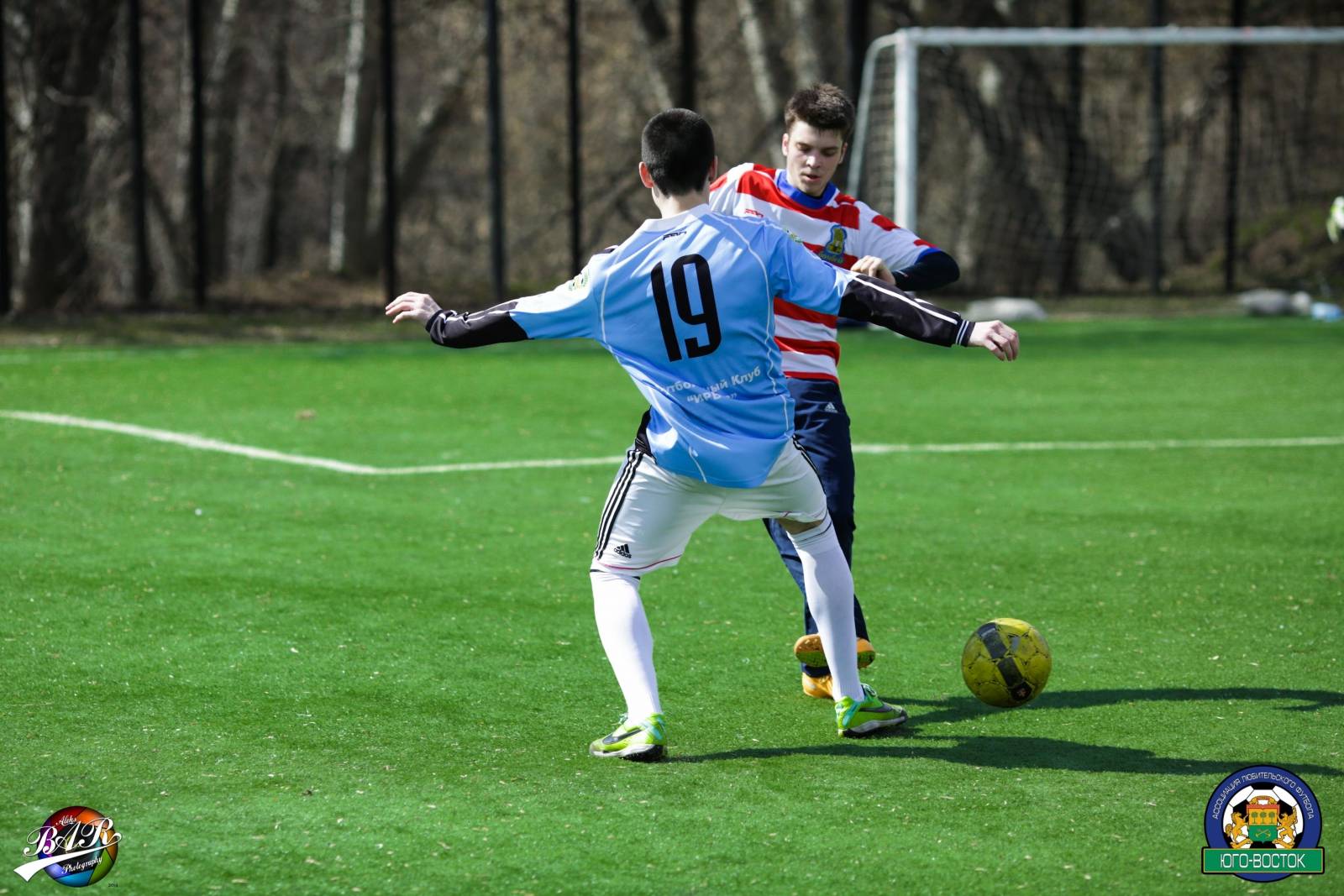 ALBA0241.jpg ALBA0241.jpg