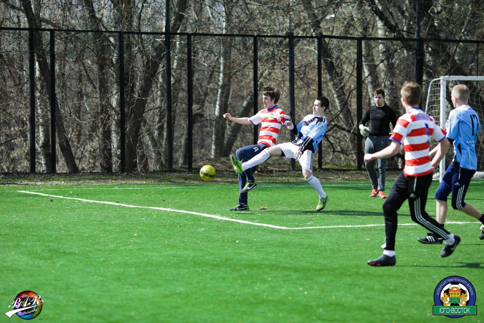 ALBA0243.jpg ALBA0243.jpg