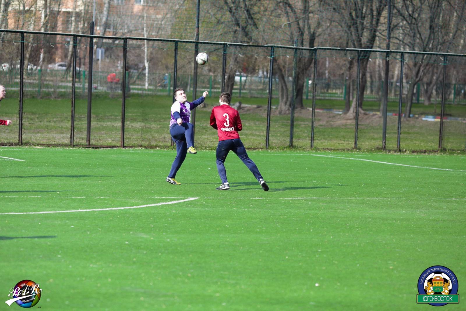 ALBA0375.jpg ALBA0375.jpg