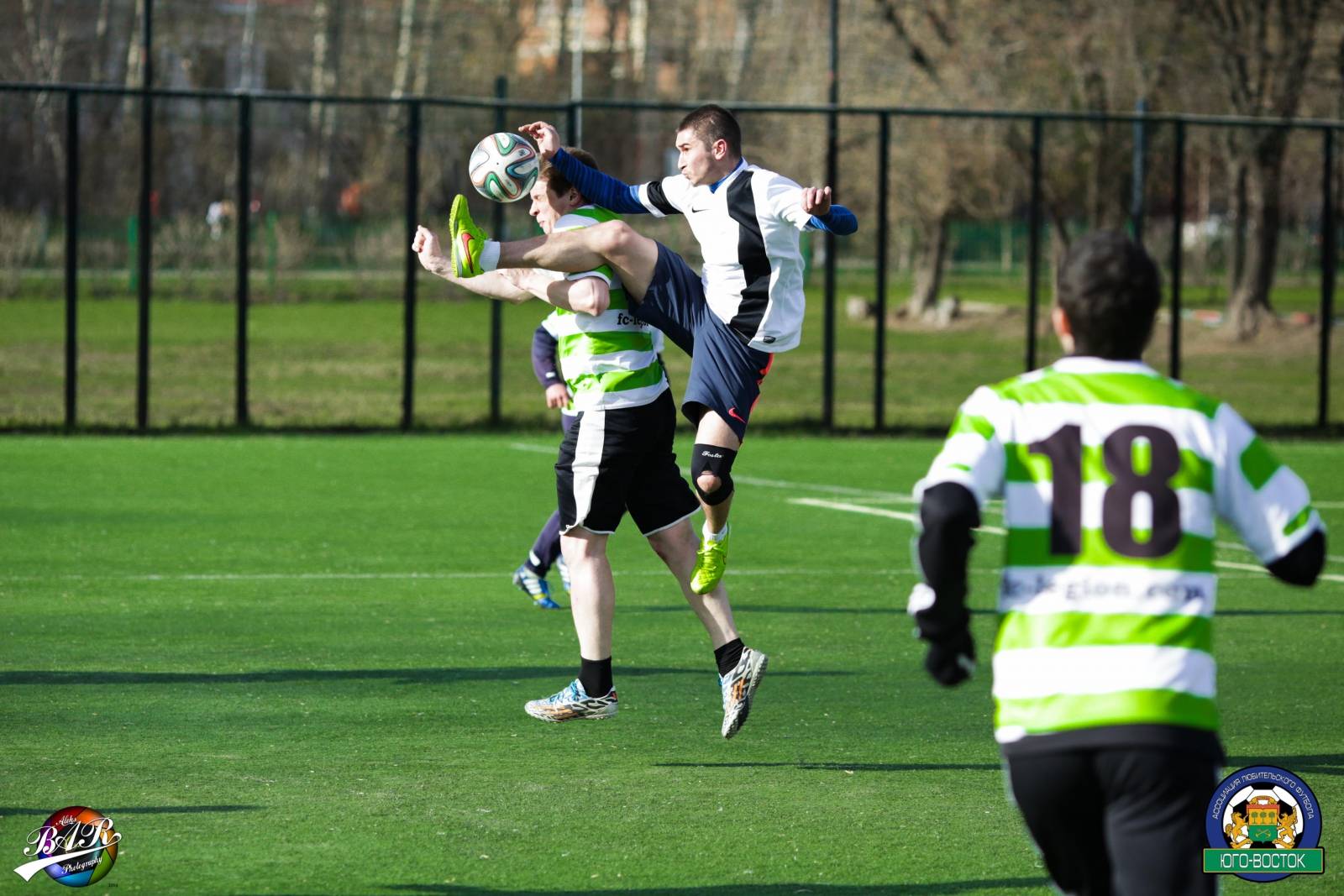 ALBA0508.jpg ALBA0508.jpg