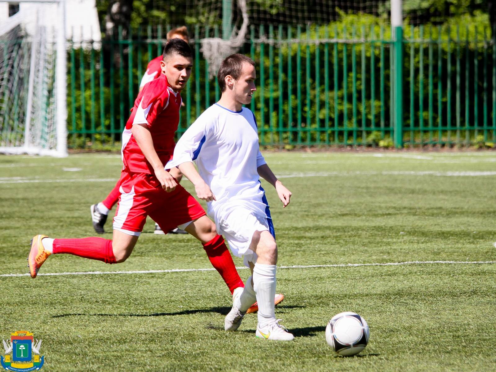 IMG_9201.jpg IMG_9201.jpg