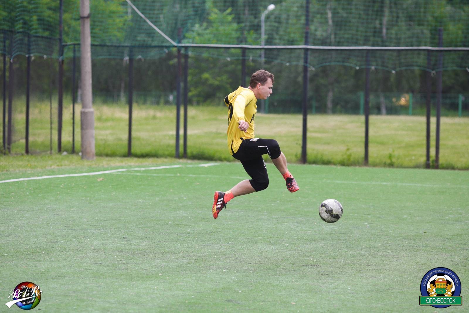 ALBA8458.jpg ALBA8458.jpg