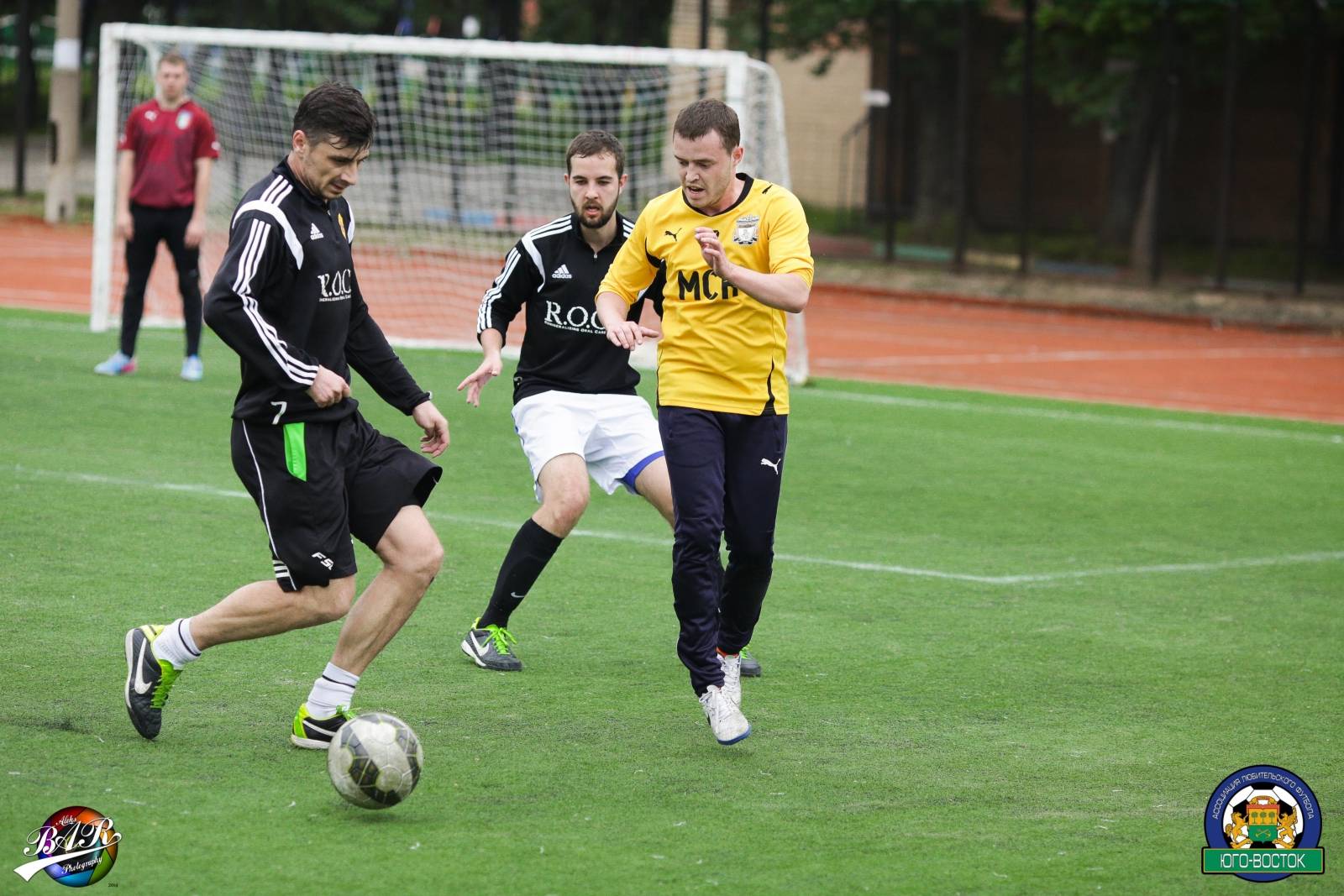 ALBA8466.jpg ALBA8466.jpg