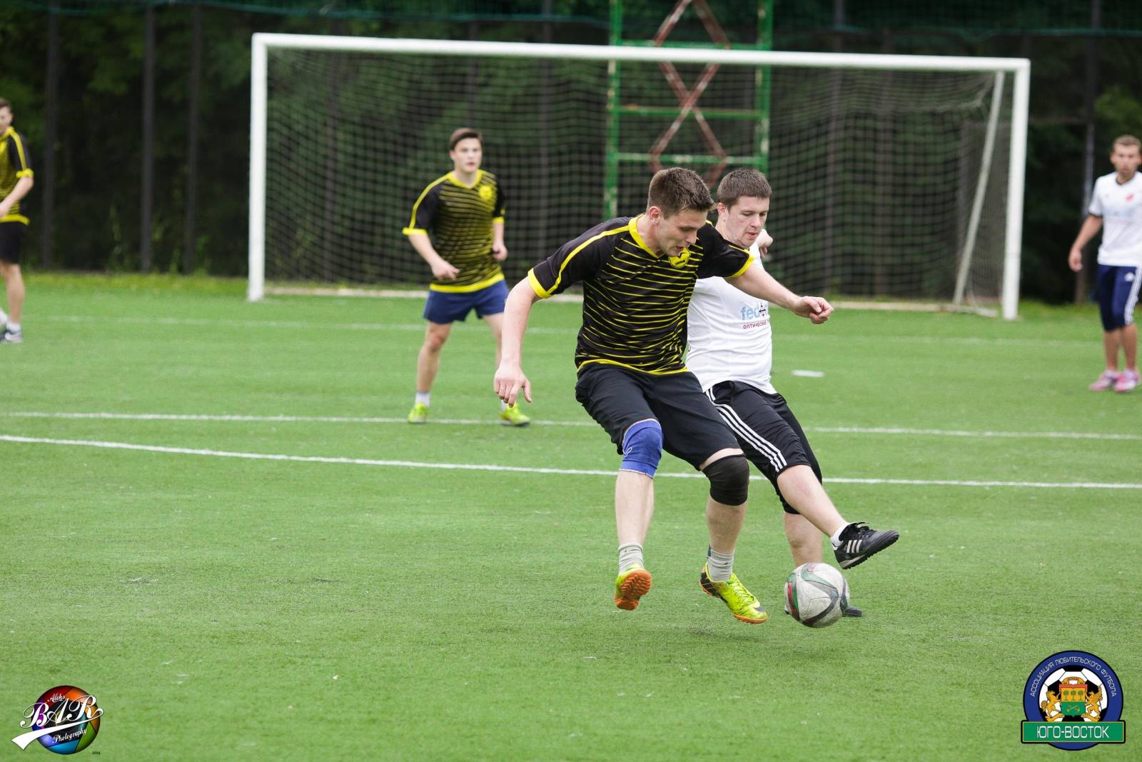 ALBA8425.jpg ALBA8425.jpg