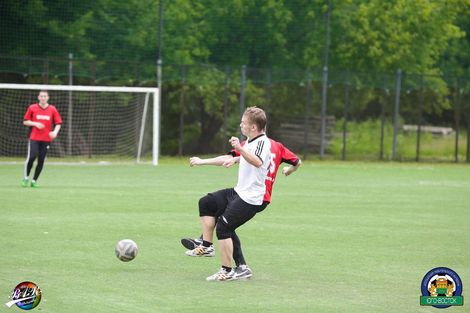 ALBA8590.jpg ALBA8590.jpg