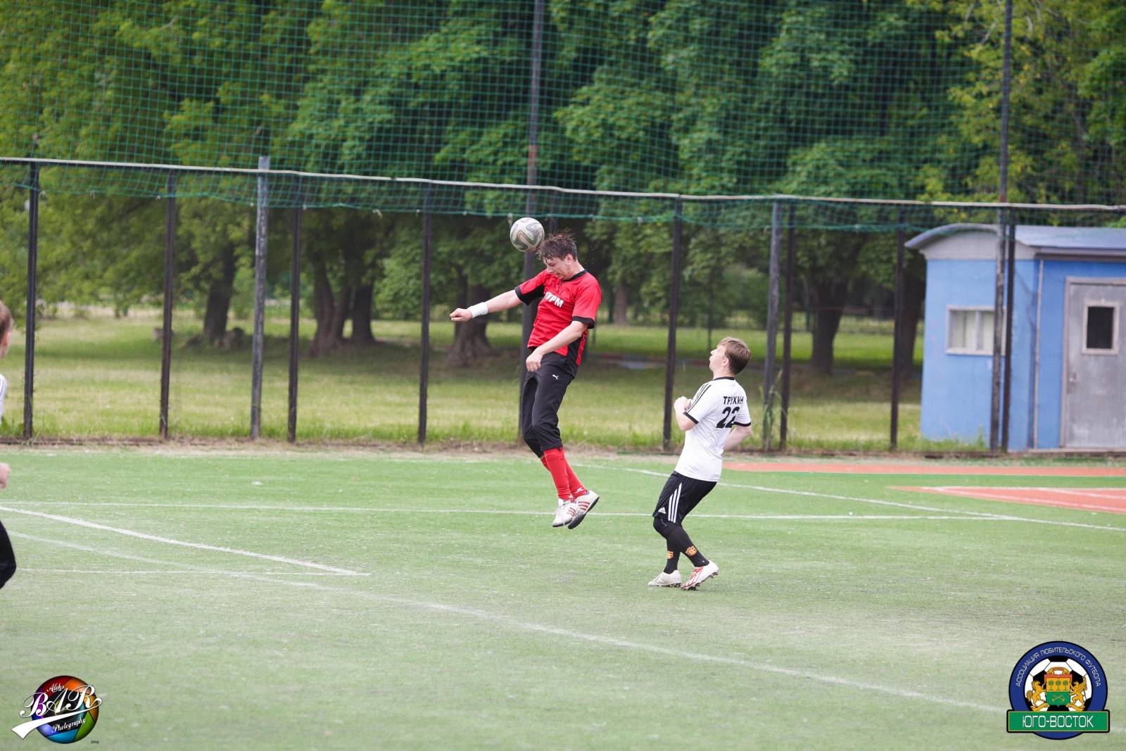 ALBA8591.jpg ALBA8591.jpg