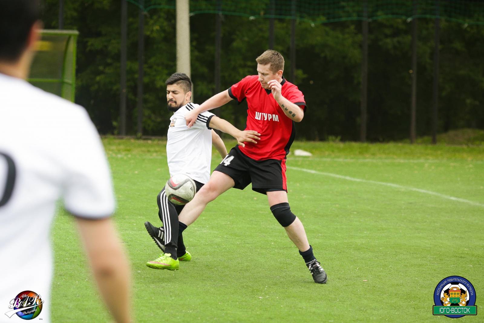 ALBA8601.jpg ALBA8601.jpg