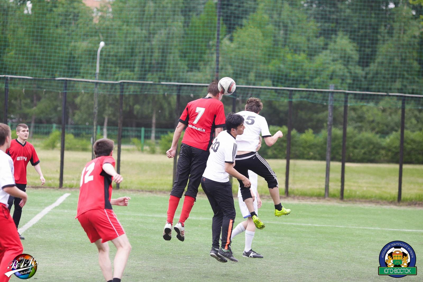 ALBA8600.jpg ALBA8600.jpg