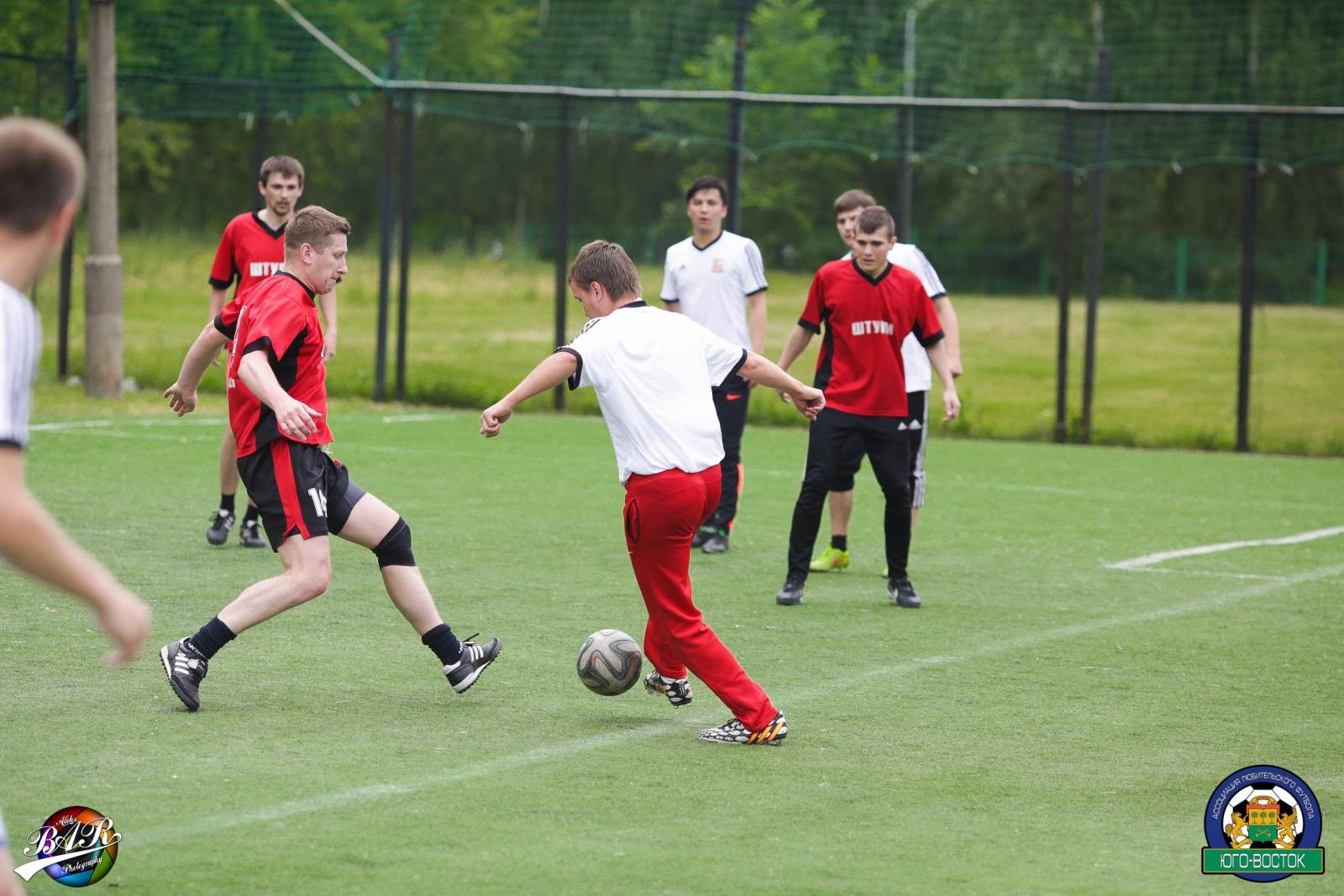 ALBA8593.jpg ALBA8593.jpg