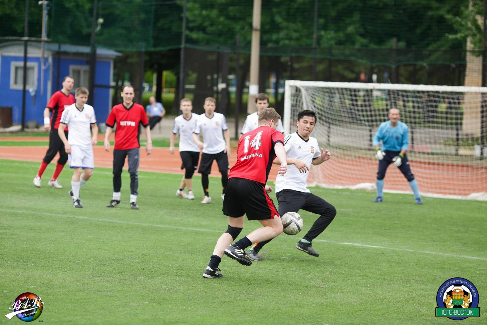 ALBA8598.jpg ALBA8598.jpg