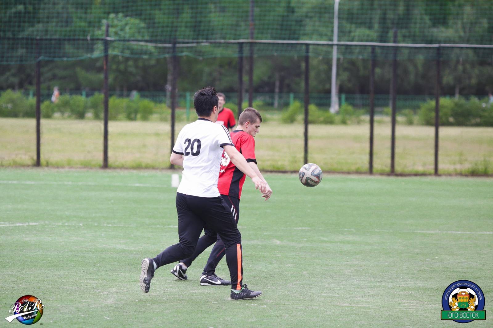 ALBA8592.jpg ALBA8592.jpg