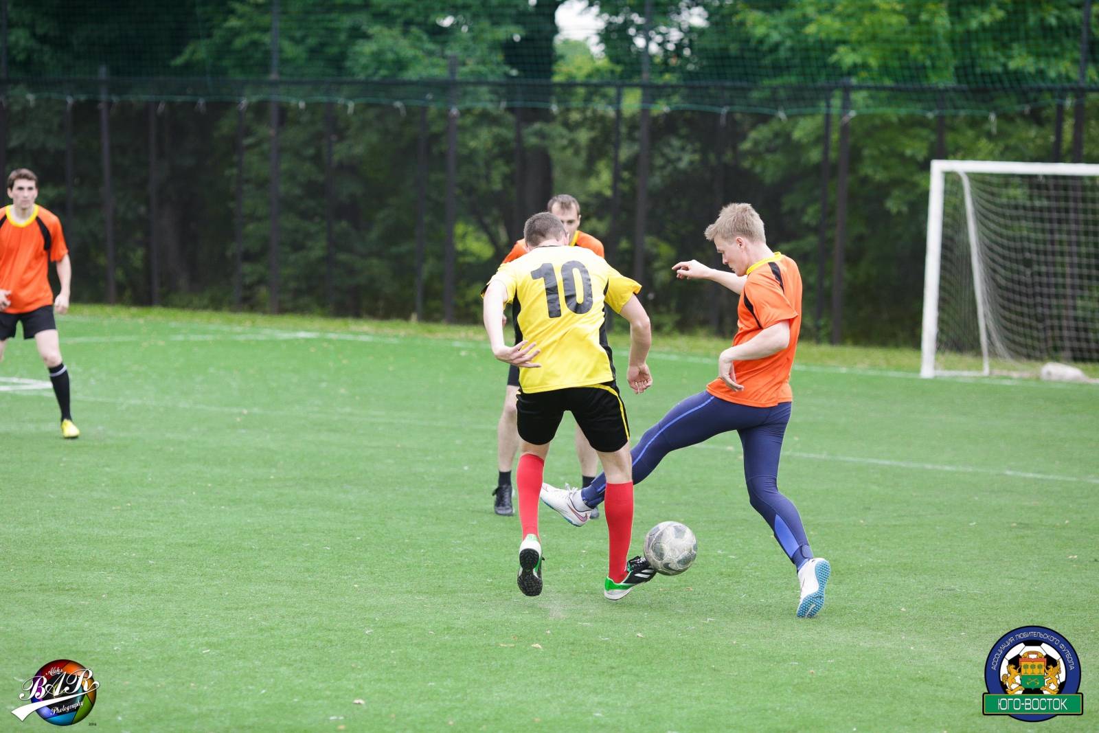 ALBA8569.jpg ALBA8569.jpg