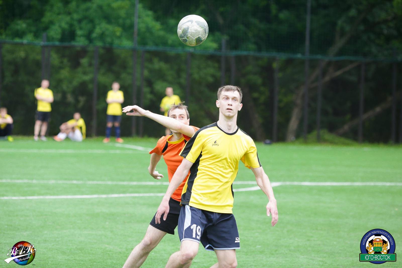 ALBA8563.jpg ALBA8563.jpg