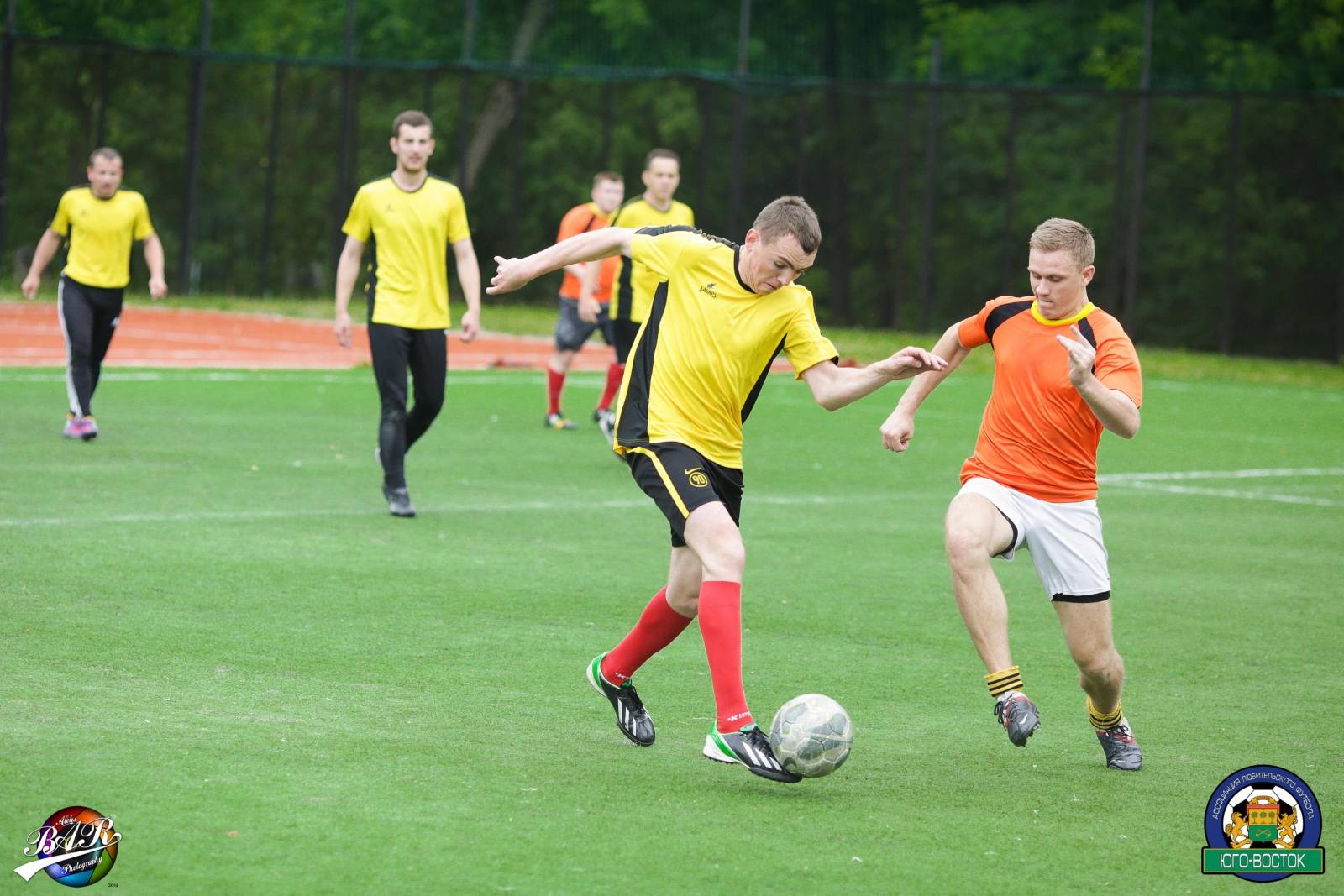 ALBA8568.jpg ALBA8568.jpg