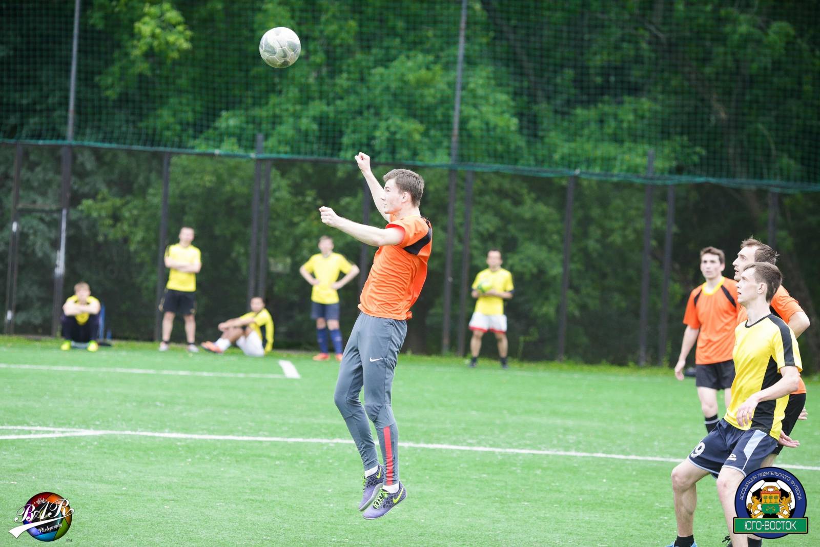 ALBA8560.jpg ALBA8560.jpg