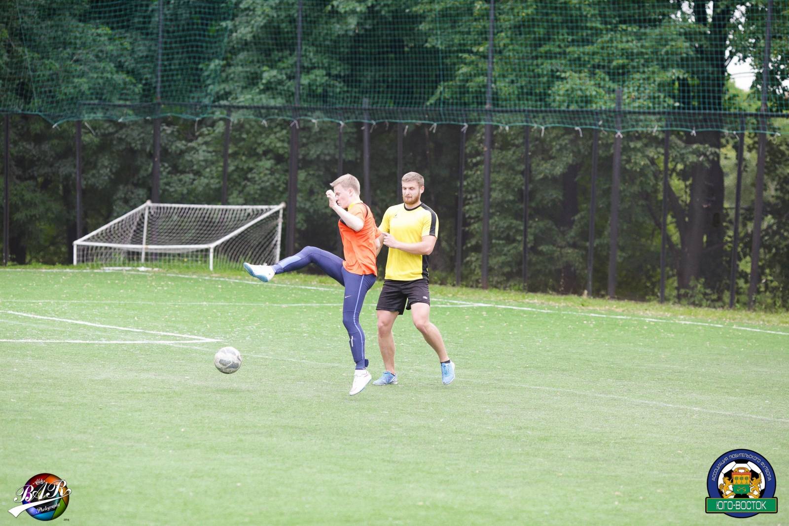 ALBA8556.jpg ALBA8556.jpg