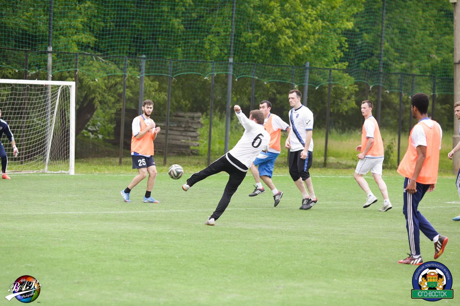 ALBA8742.jpg ALBA8742.jpg