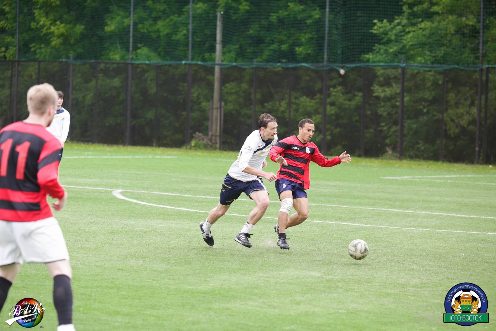 ALBA8705.jpg ALBA8705.jpg