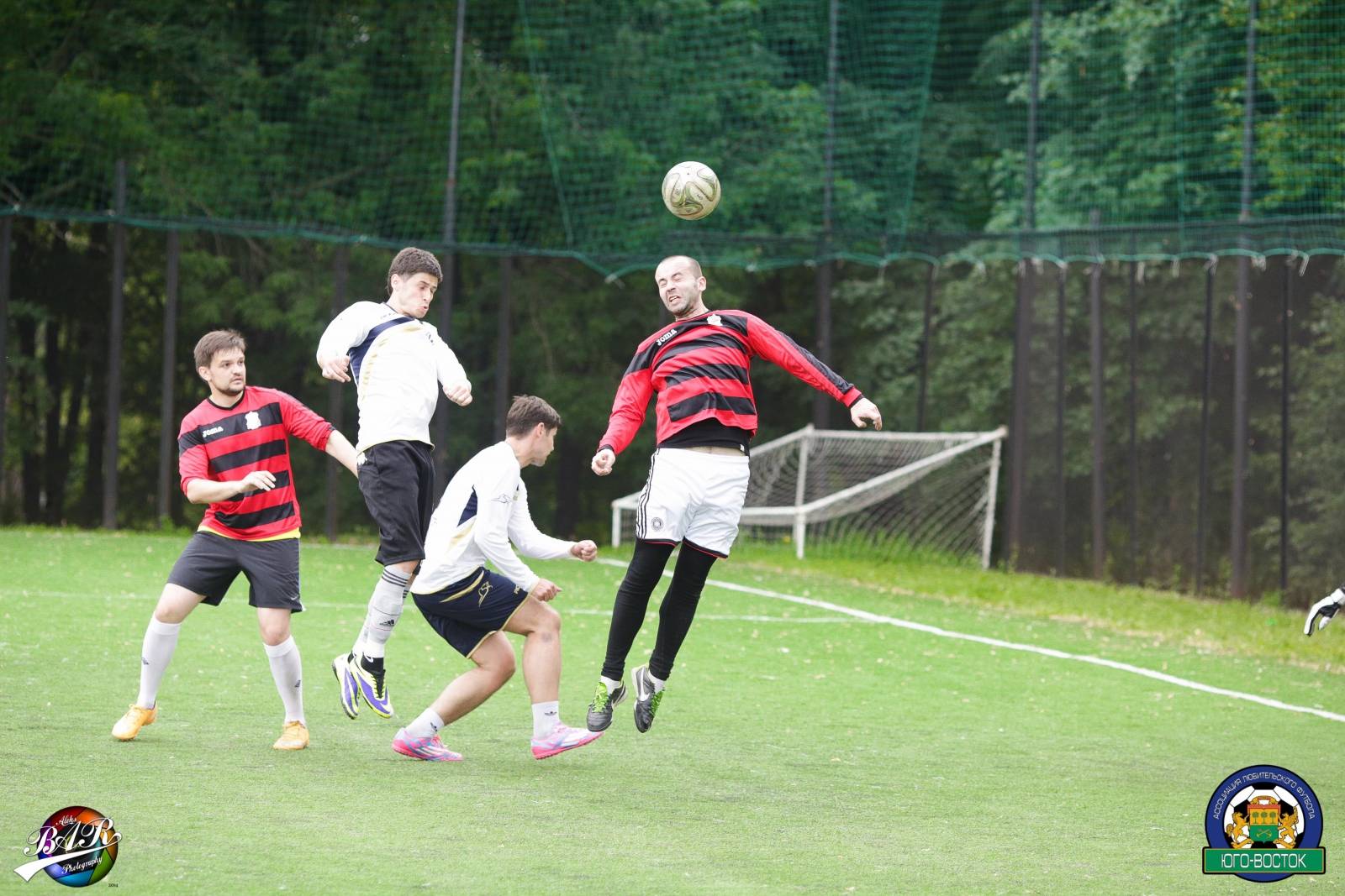 ALBA8697.jpg ALBA8697.jpg