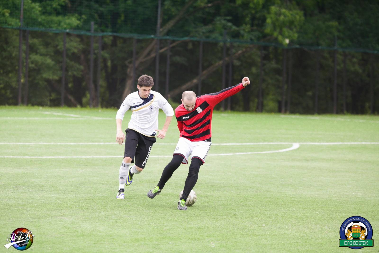 ALBA8709.jpg ALBA8709.jpg