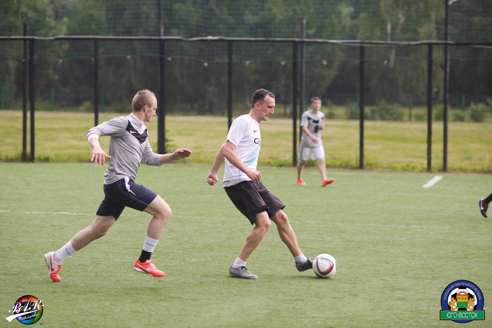 ALBA8810.jpg ALBA8810.jpg