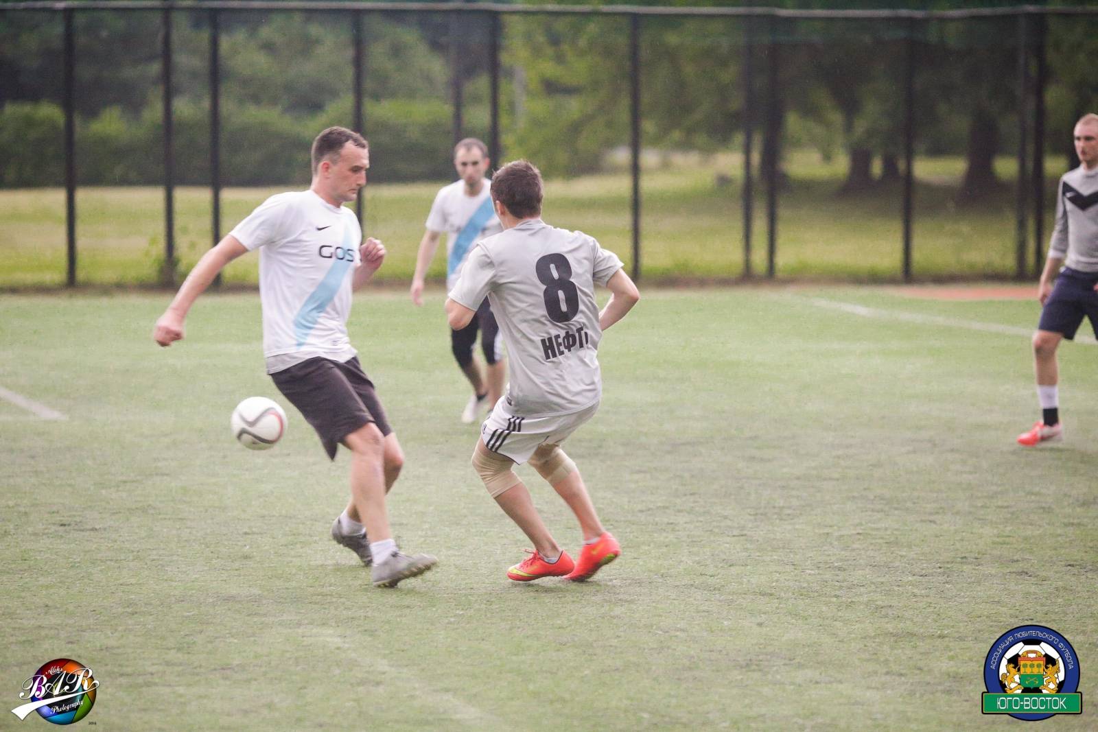 ALBA8817.jpg ALBA8817.jpg