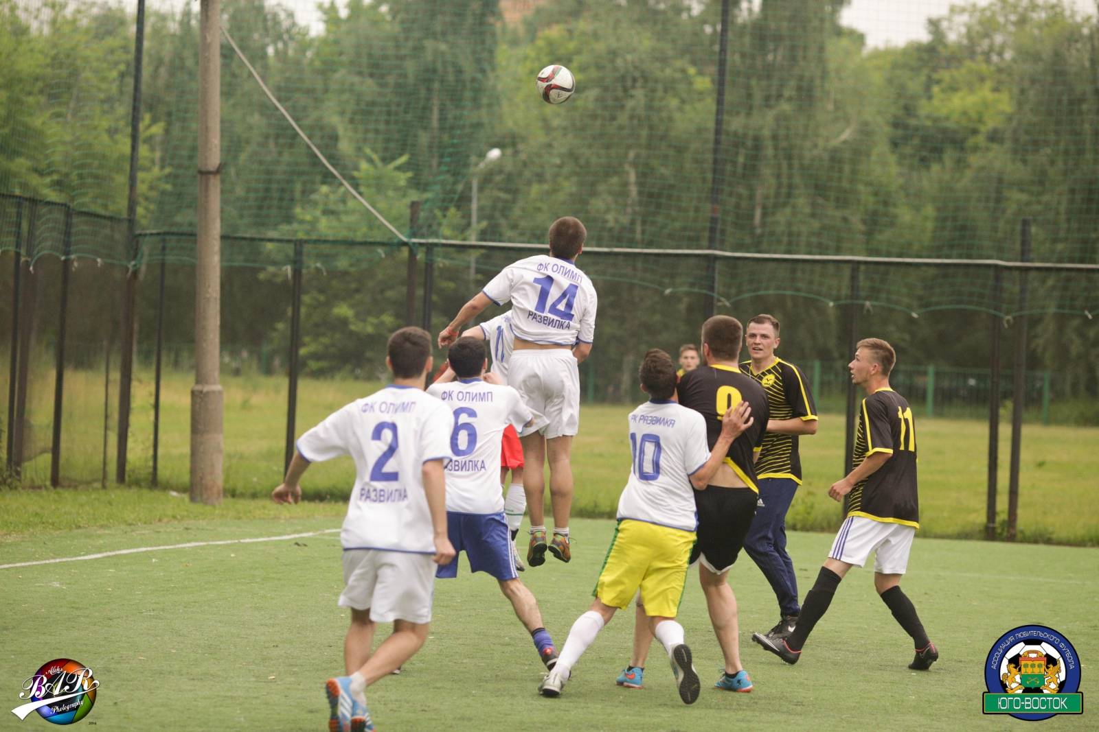 ALBA8892.jpg ALBA8892.jpg