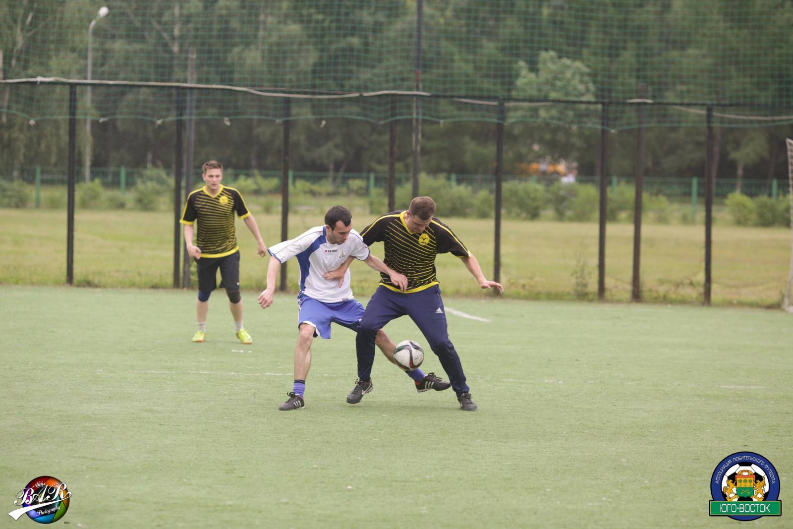 ALBA8896.jpg ALBA8896.jpg