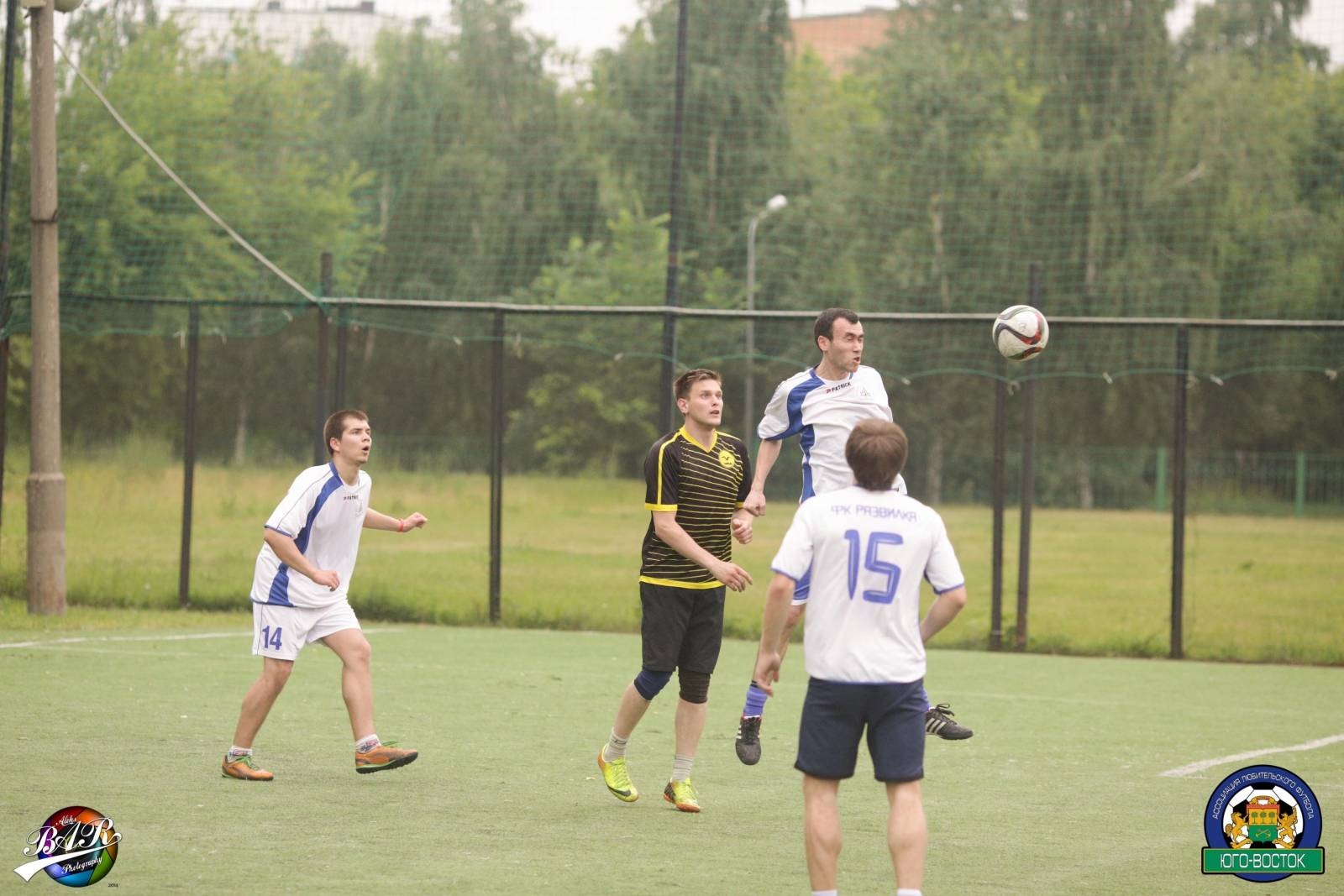 ALBA8895.jpg ALBA8895.jpg