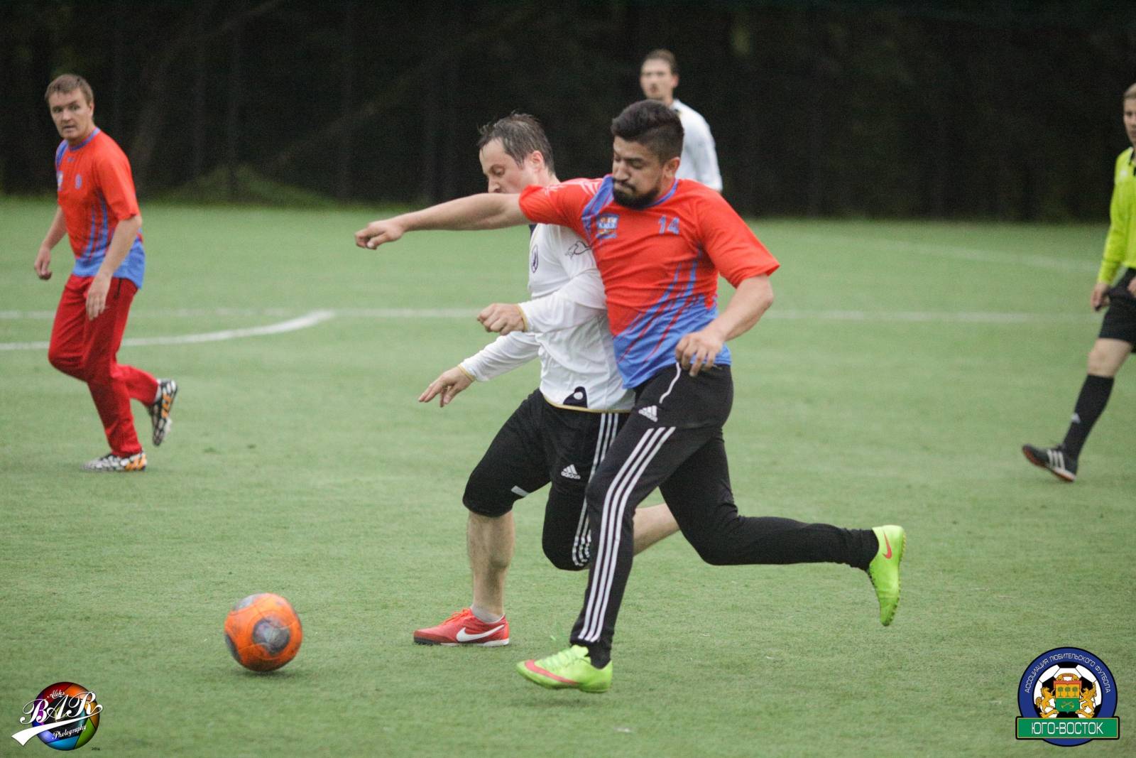 ALBA9041.jpg ALBA9041.jpg