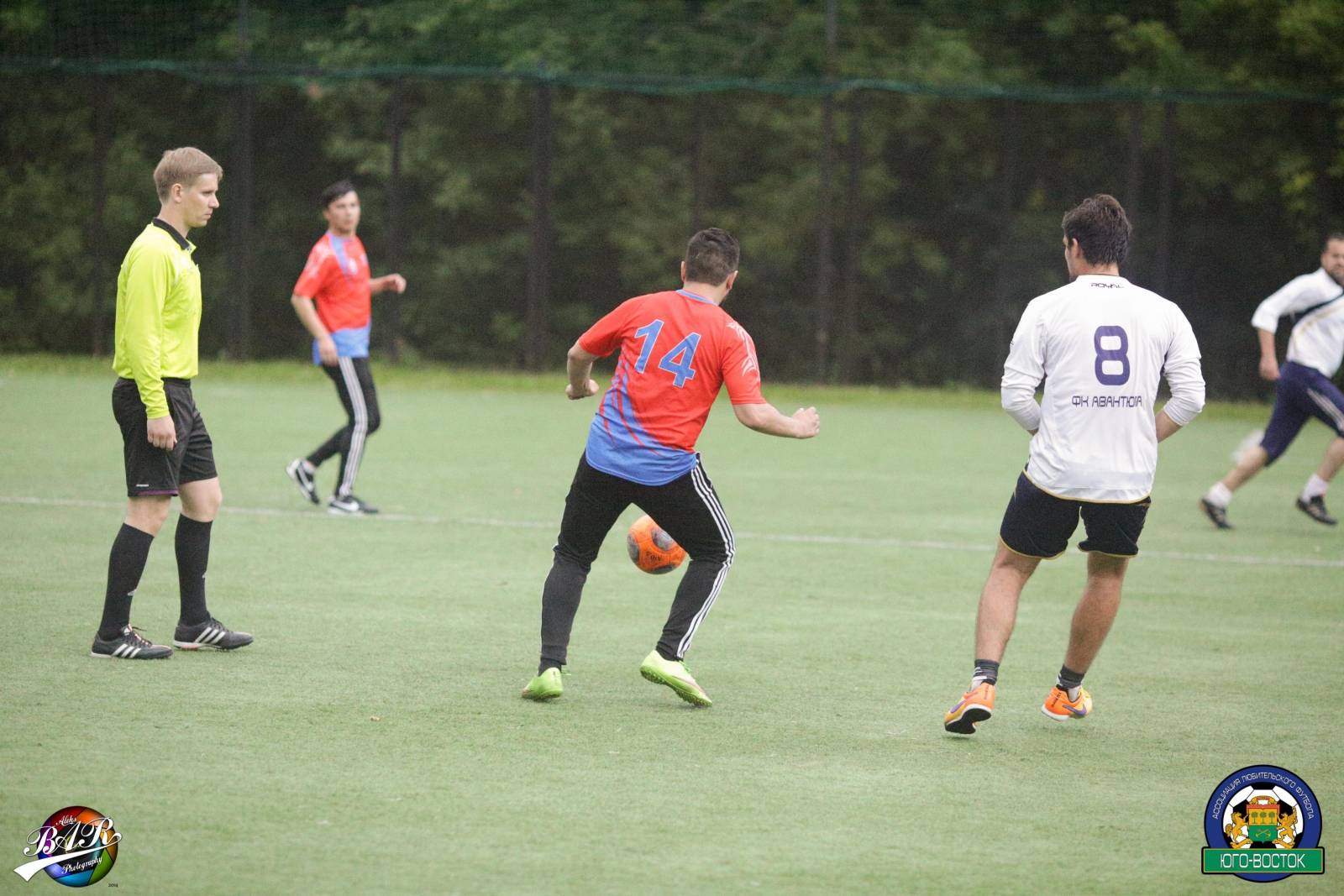 ALBA9051.jpg ALBA9051.jpg