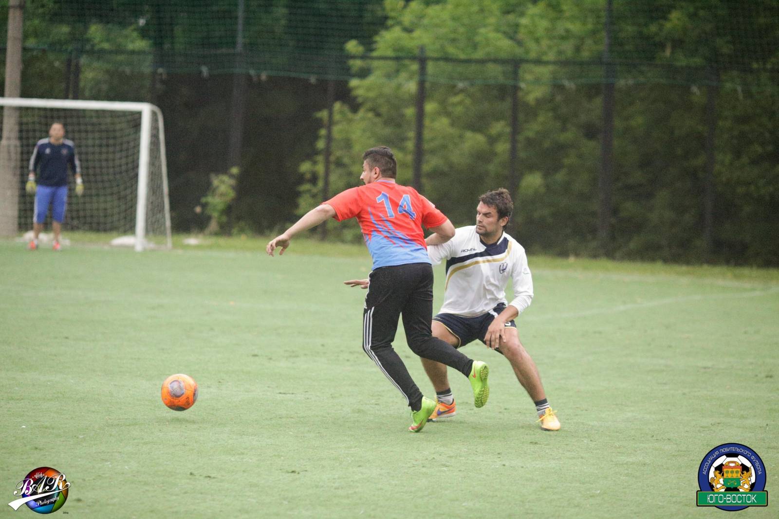 ALBA9053.jpg ALBA9053.jpg