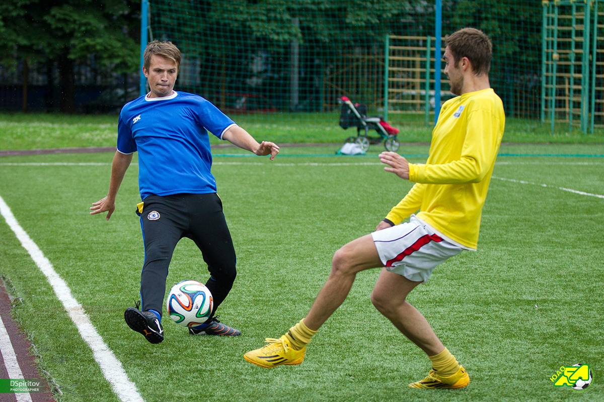 SPR 7981 Small SPR 7981 Small