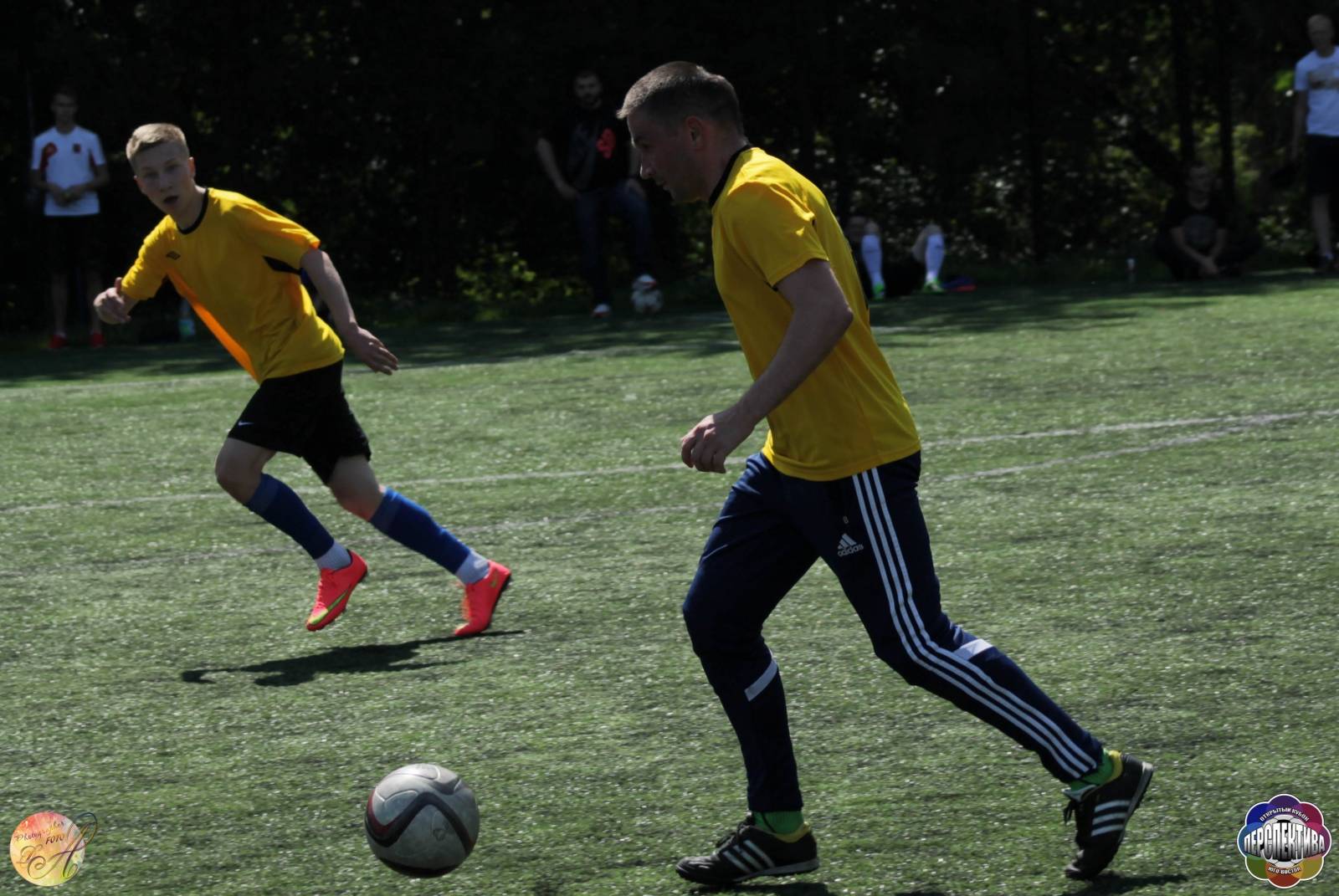 IMG_2374.jpg IMG_2374.jpg