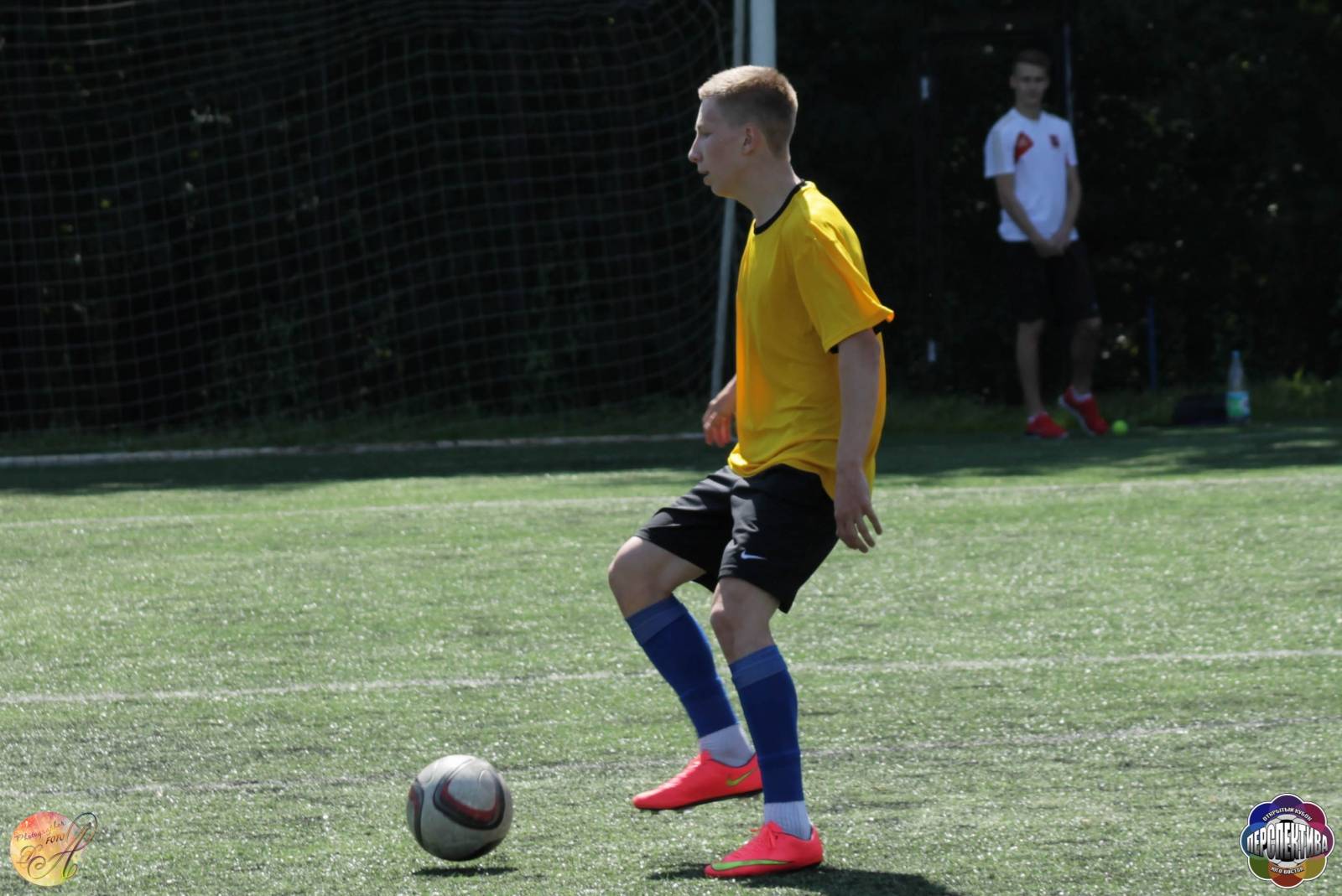 IMG_2379.jpg IMG_2379.jpg