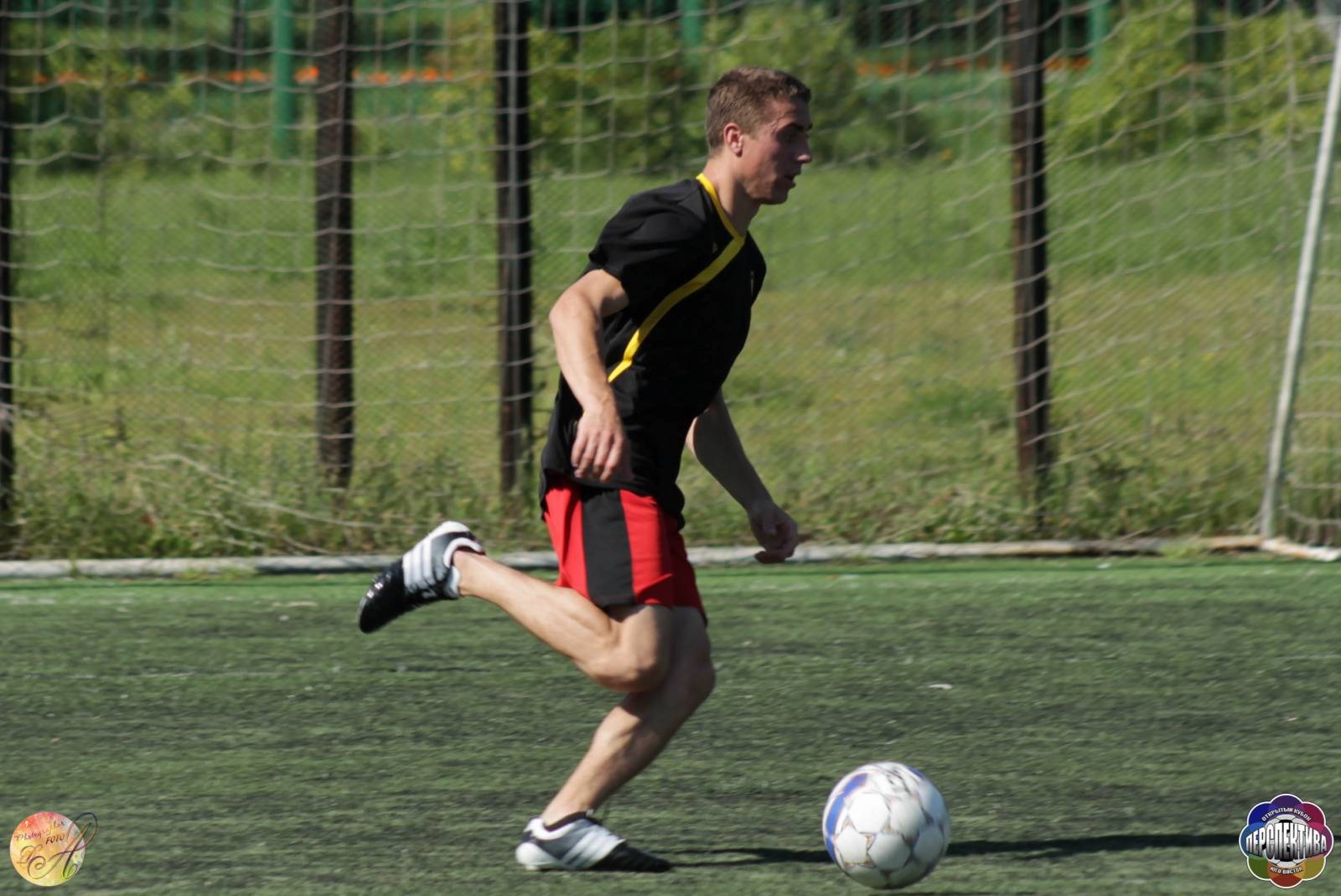 IMG_3071-2.jpg IMG_3071-2.jpg