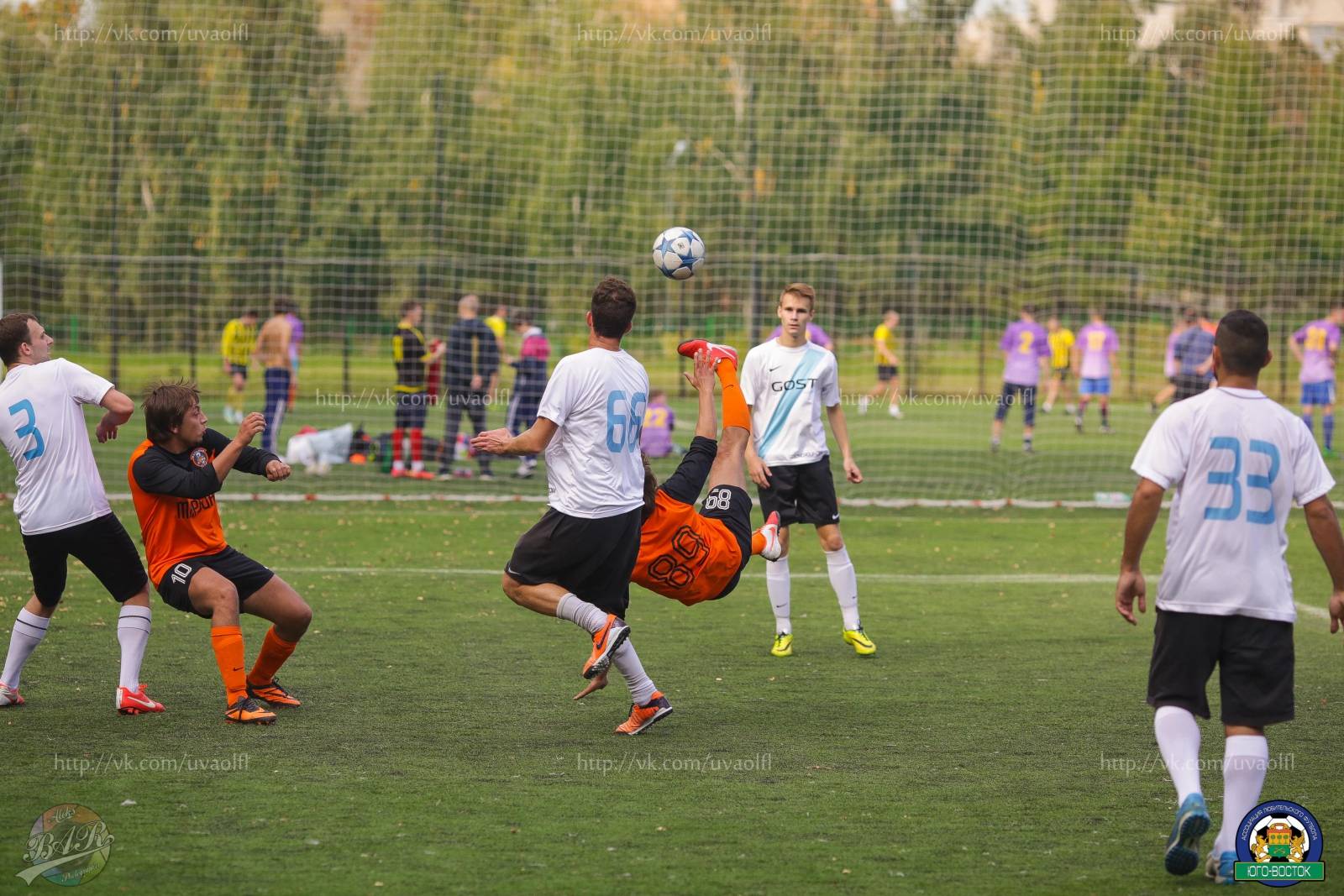 ALBA2485.jpg ALBA2485.jpg