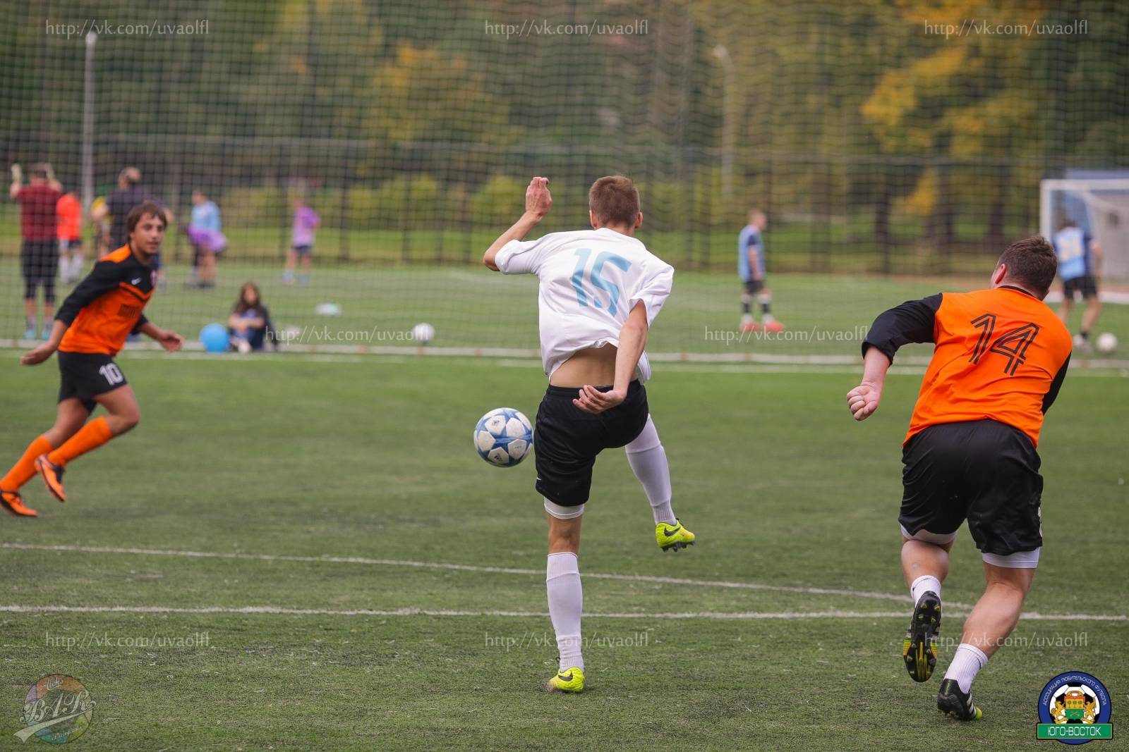 ALBA2496.jpg ALBA2496.jpg