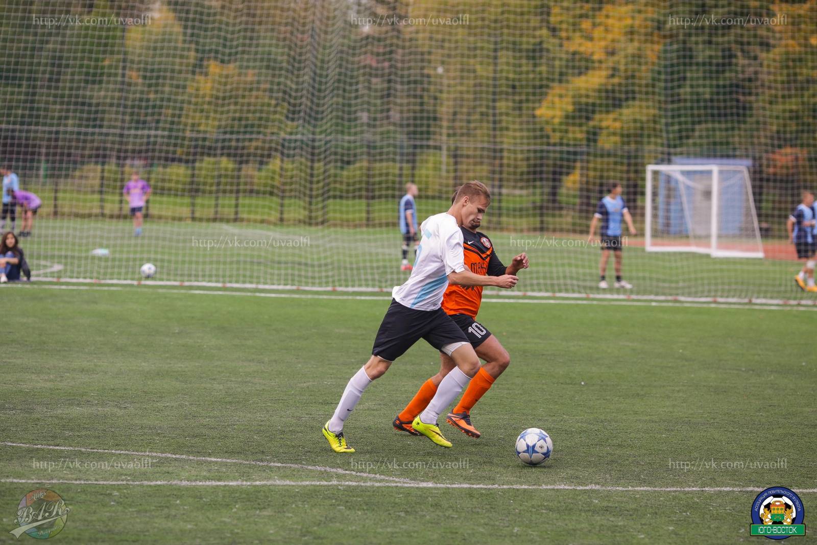 ALBA2497.jpg ALBA2497.jpg