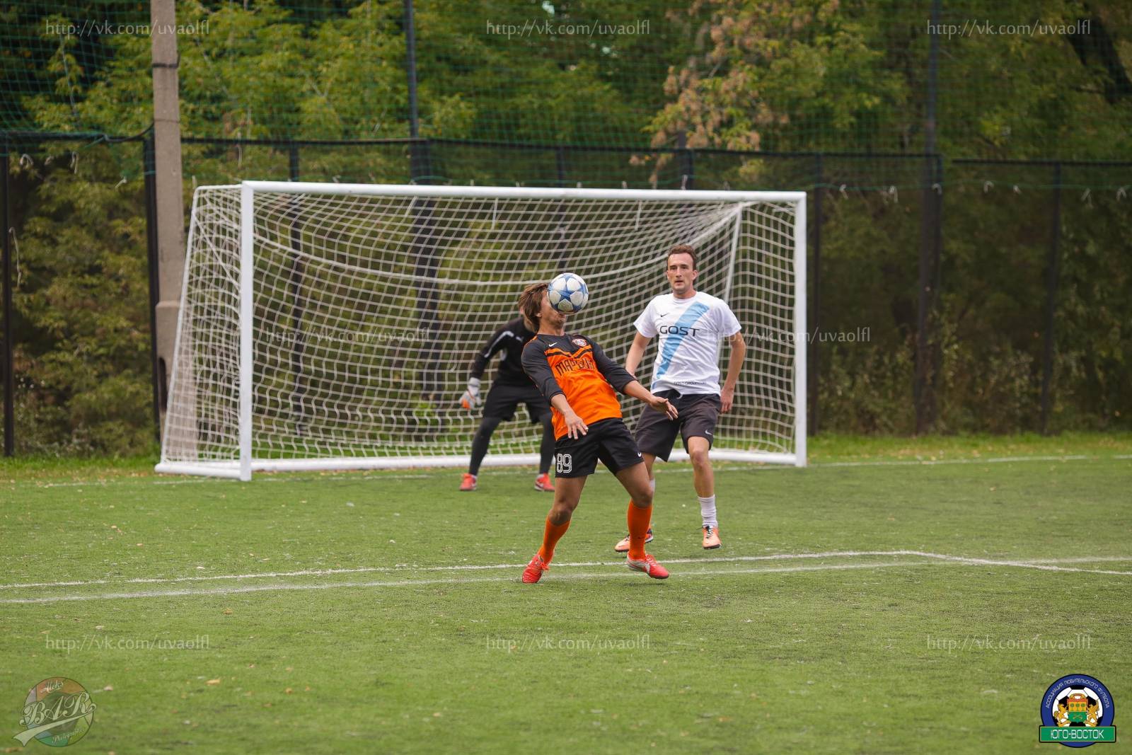 ALBA2494.jpg ALBA2494.jpg