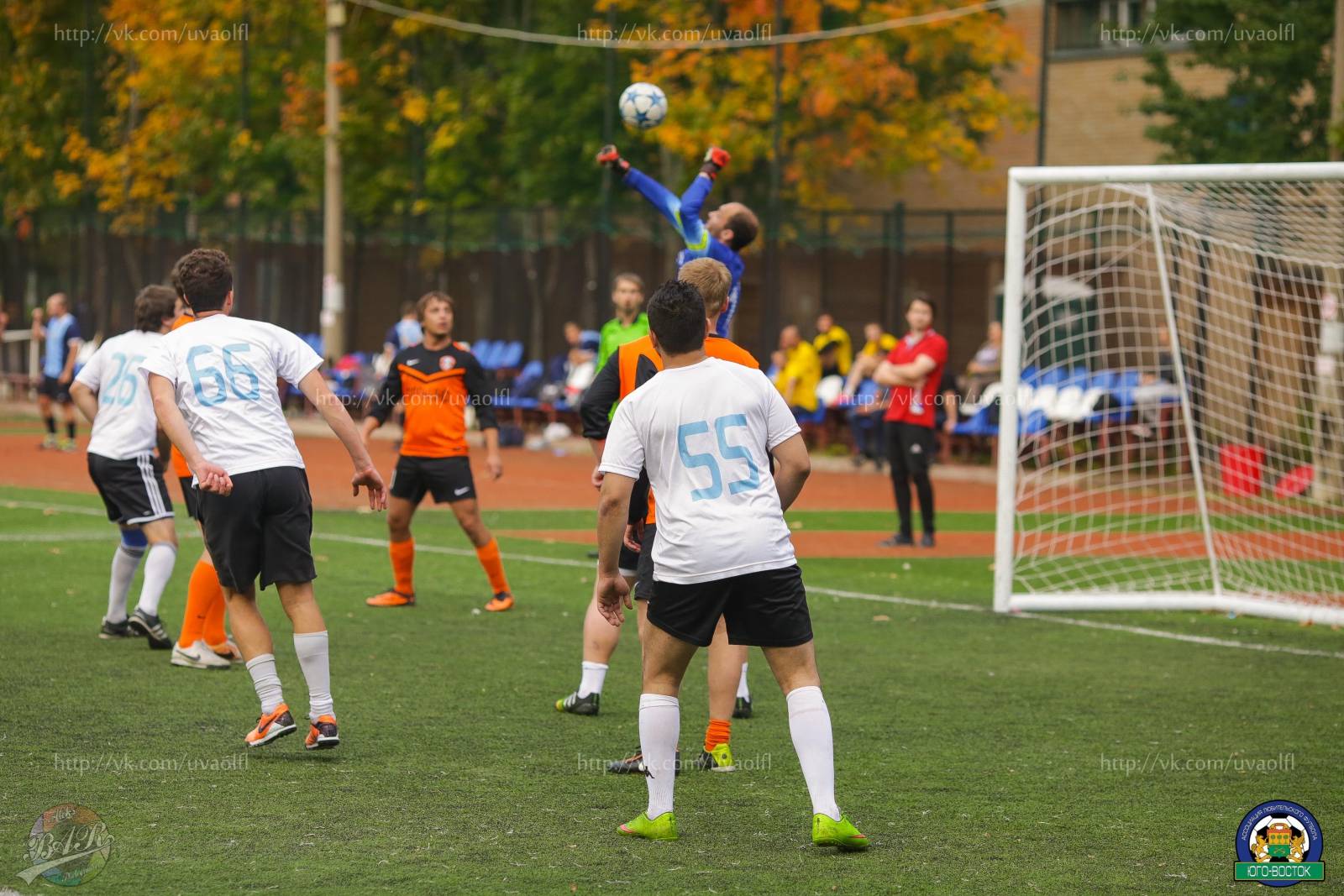 ALBA2491.jpg ALBA2491.jpg