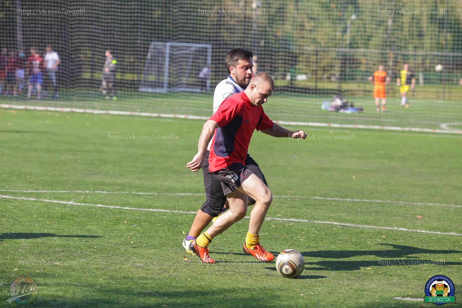 ALBA2102.jpg ALBA2102.jpg