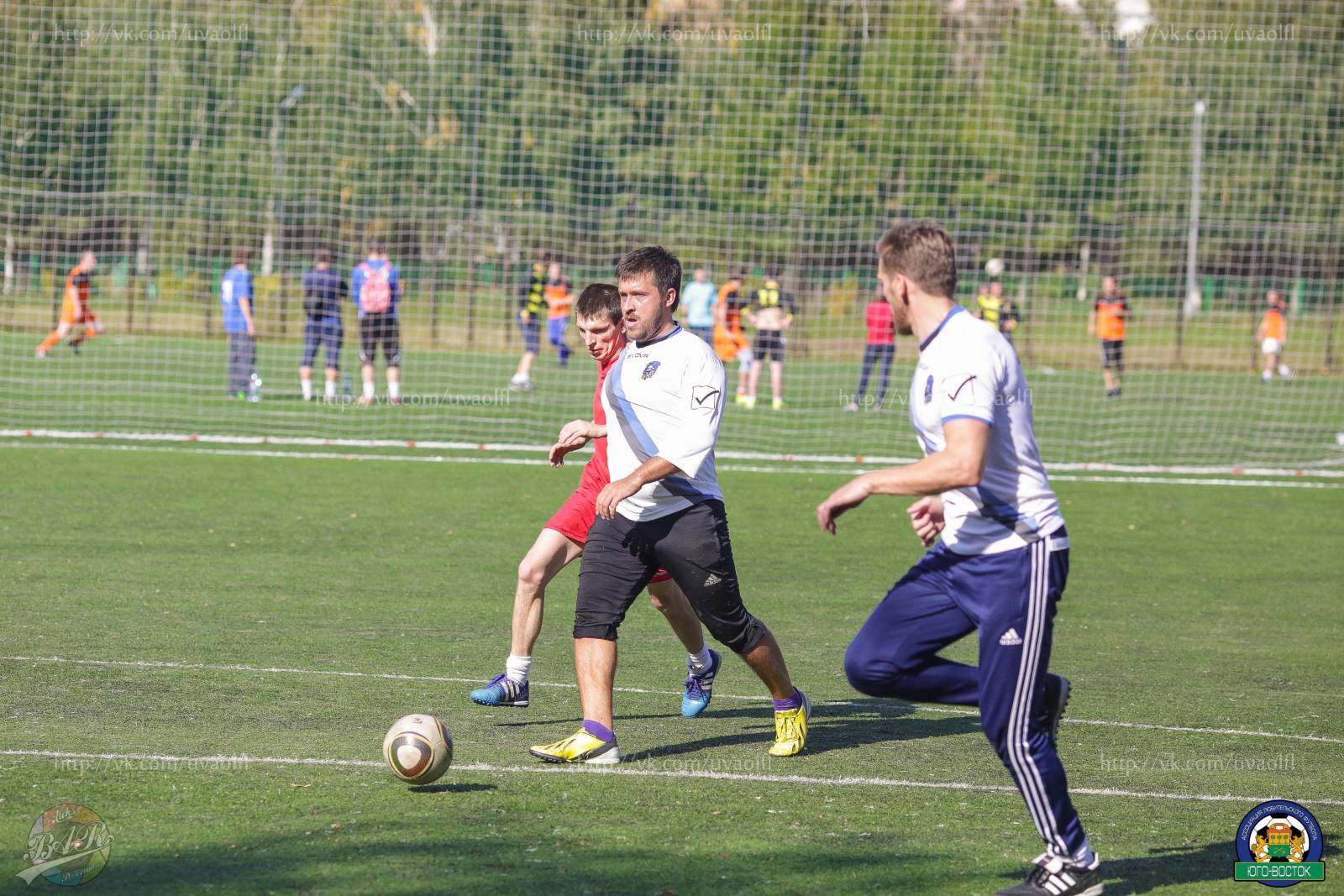 ALBA2096.jpg ALBA2096.jpg