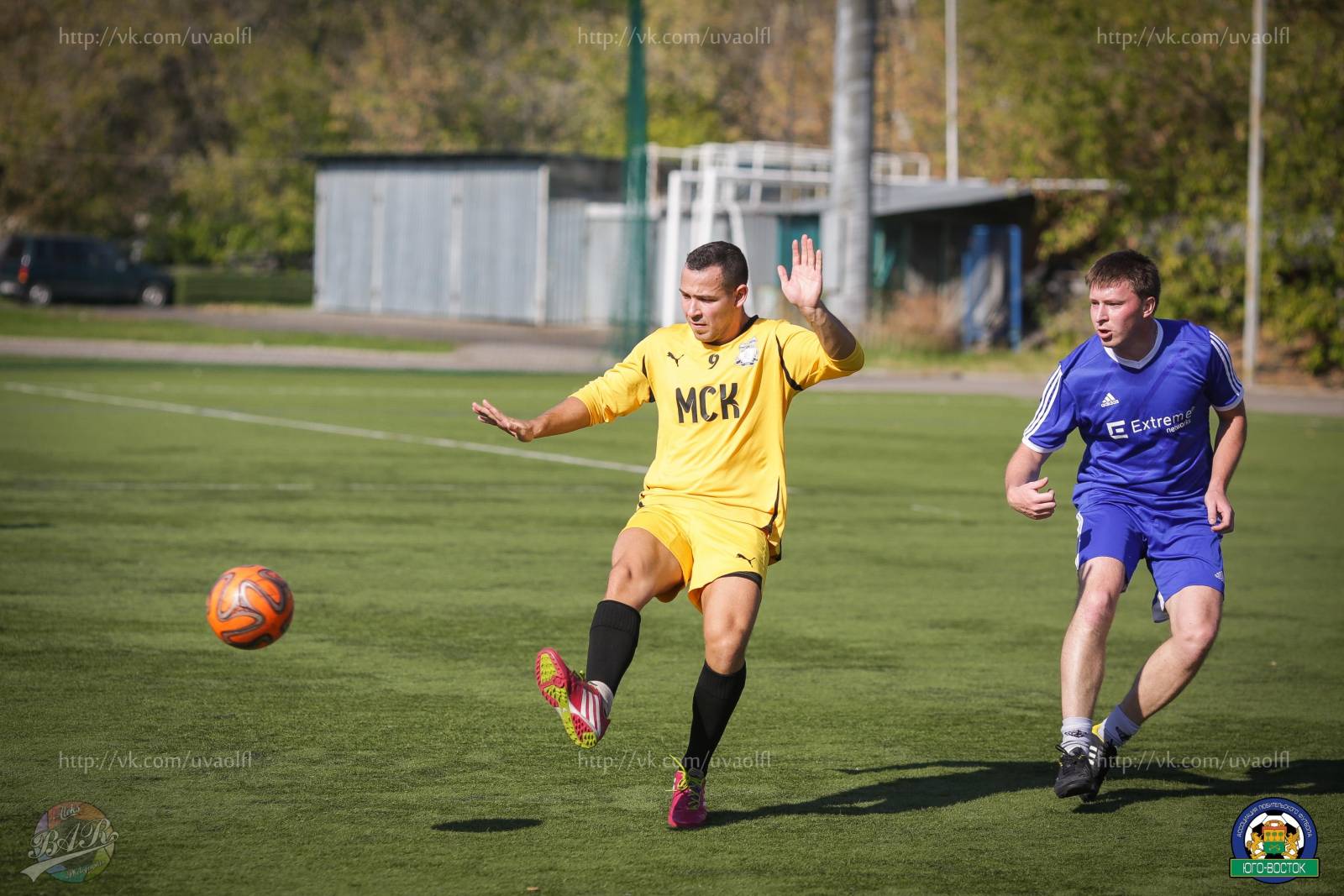 ALBA3637.jpg ALBA3637.jpg