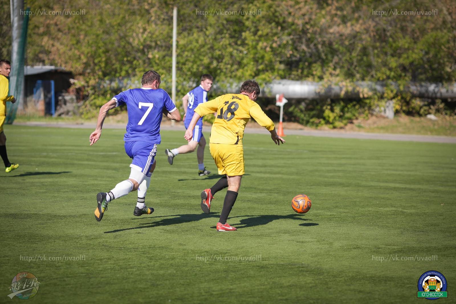 ALBA3636.jpg ALBA3636.jpg