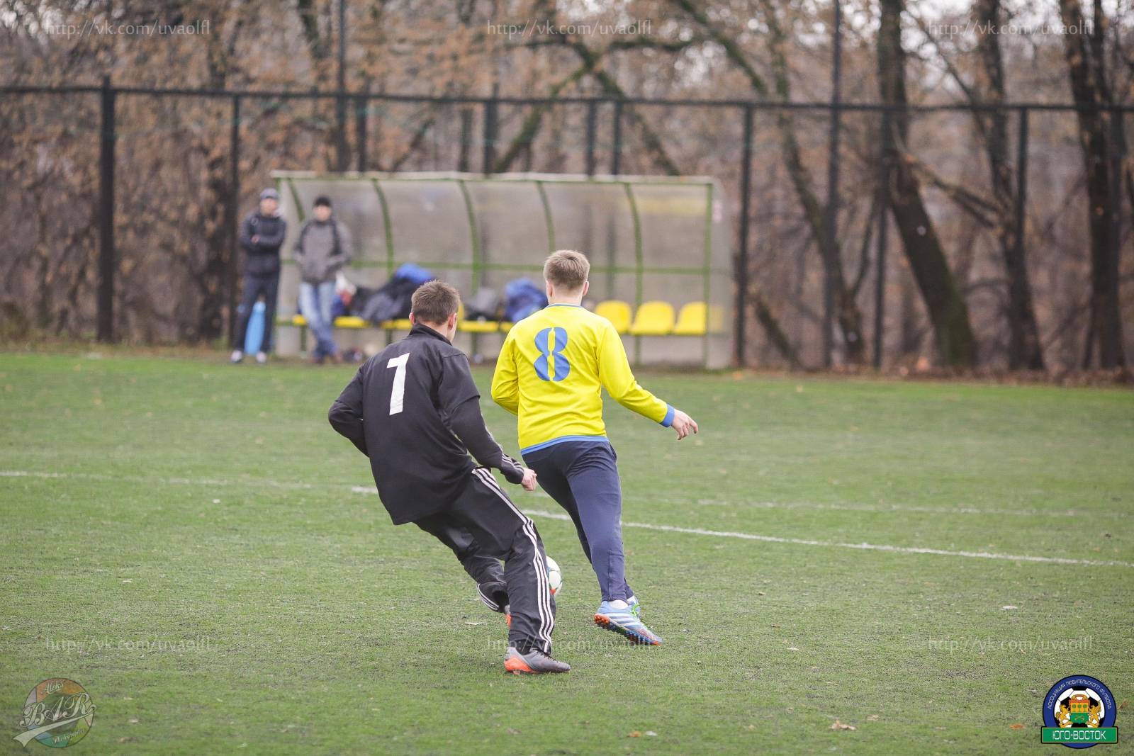 ALBA8419.jpg ALBA8419.jpg