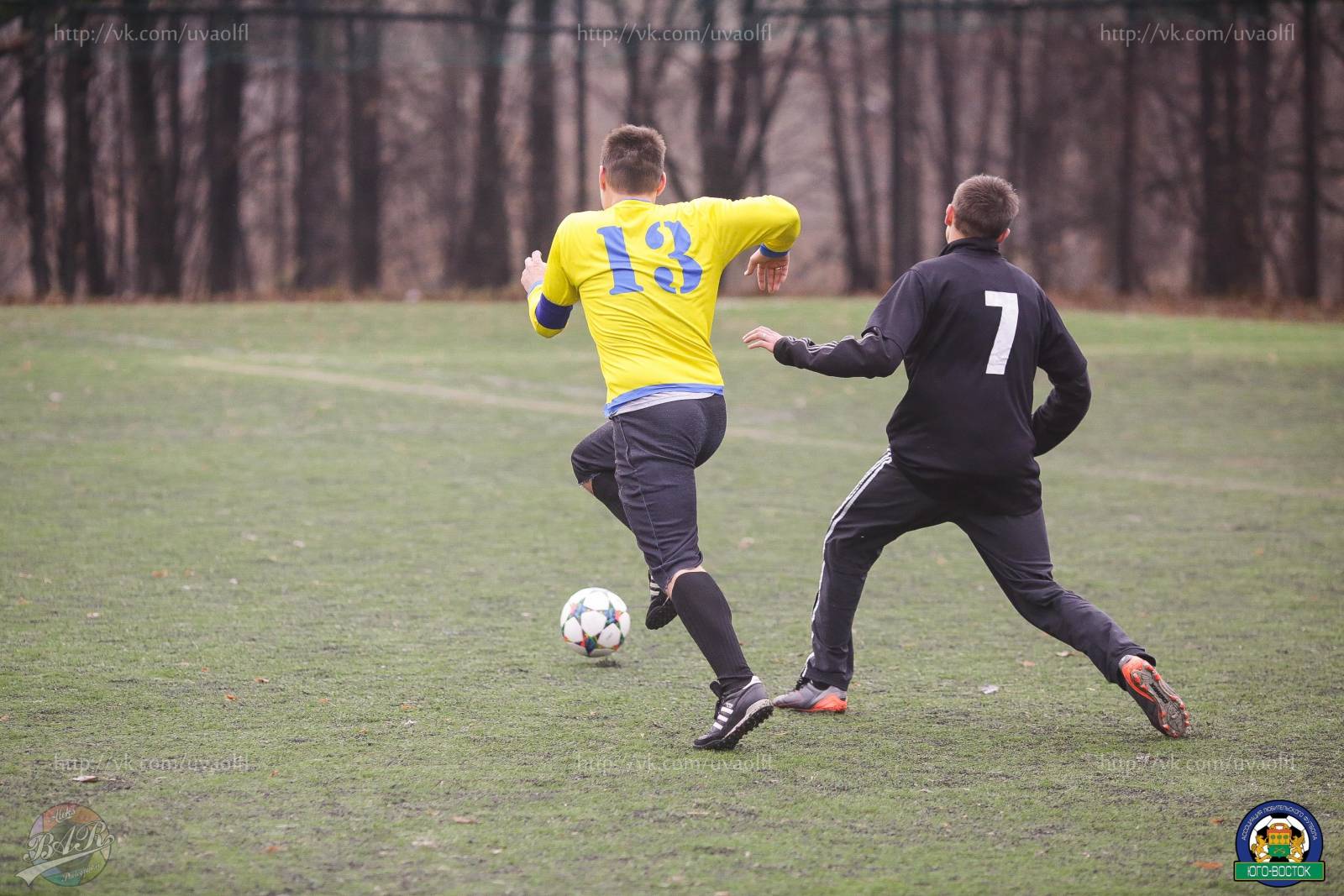 ALBA8421.jpg ALBA8421.jpg